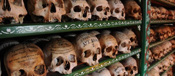 Crânes - Sputnik Afrique