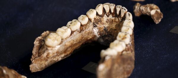 Ossements humains (image d'illustration) - Sputnik Afrique