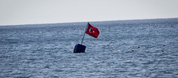 Drapeau turc - Sputnik Afrique