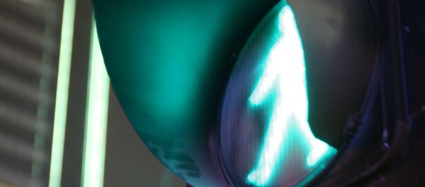 feu vert - Sputnik Afrique