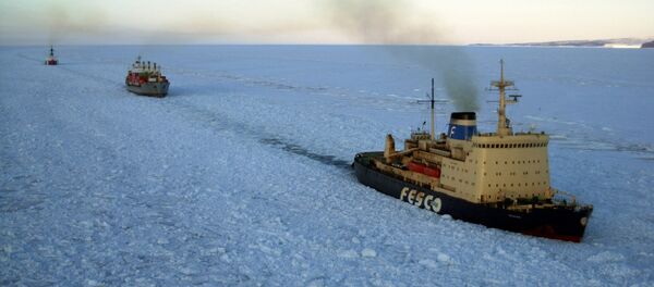 Des brise-glaces - Sputnik Afrique