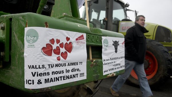 Démonstration de force des éleveurs bretons près de Saint-Brieuc - Sputnik Afrique