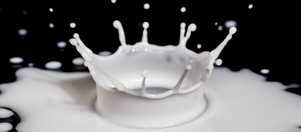 lait - Sputnik Afrique