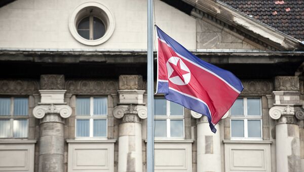 Le drapeau nord-coréen - Sputnik Afrique
