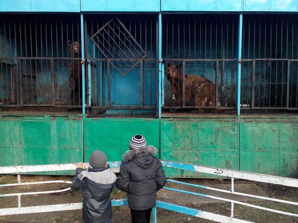 Un petit zoo de Gumri Un petit zoo de Gumri - Sputnik Afrique