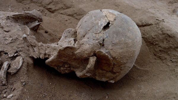 Un squelette fossilisé - Sputnik Afrique