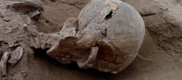 Un squelette fossilisé Un squelette fossilisé - Sputnik Afrique