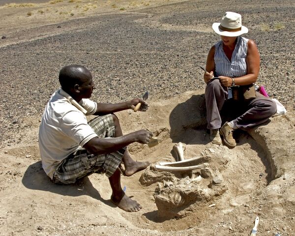 Archéologues ont découvert des traces de la plus vieille bataille connue à ce jour - Sputnik Afrique