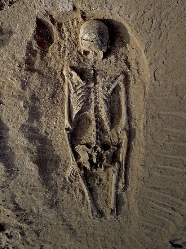 Squelette présente le traumatisme crânien - Sputnik Afrique