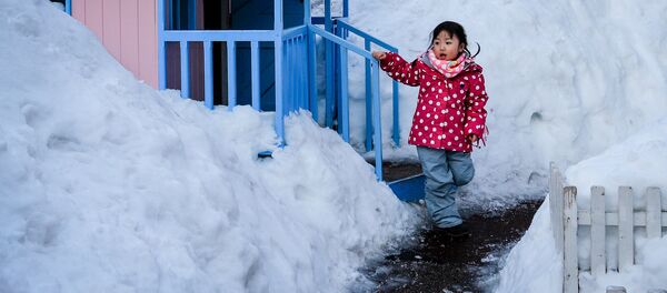 La neige. Image d'illustration La neige. Image d'illustration - Sputnik Afrique