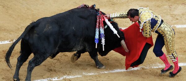 Un jeune torero meurt encorné dans l'arène: une première depuis 30 ans - Sputnik Afrique