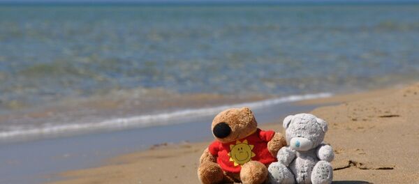 Des oursons en peluche - Sputnik Afrique