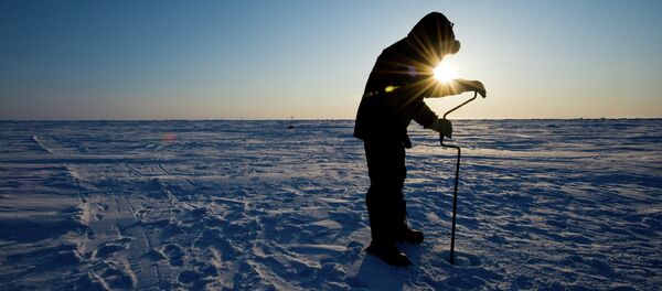 Arctique Arctique - Sputnik Afrique