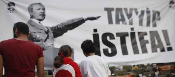 Un jeune manifestant portant un drapeau turc devant une bannière avec le Premier ministre turc Recep Tayyip Erdogan, présenté comme Adolf Hitler dans Gezi parc près de la place Taksim à Istanbul, le vendredi 7 Juin, 2013 - Sputnik Afrique