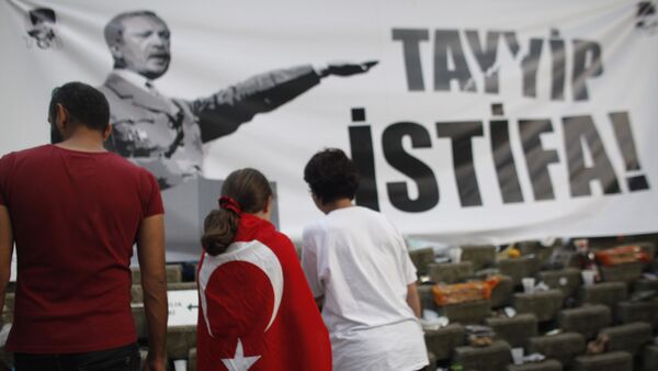 Un jeune manifestant portant un drapeau turc devant une bannière avec le Premier ministre turc Recep Tayyip Erdogan, présenté comme Adolf Hitler dans Gezi parc près de la place Taksim à Istanbul, le vendredi 7 Juin, 2013 - Sputnik Afrique