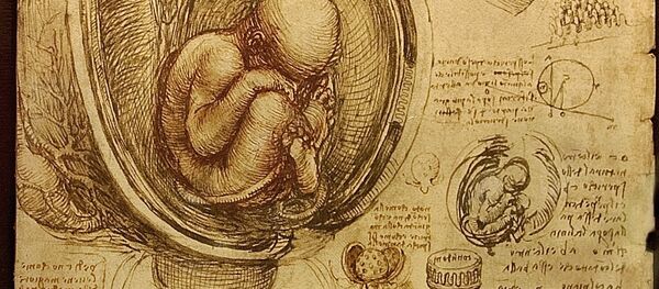 Un embryon humain - Sputnik Afrique