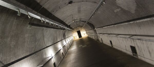 image d` illustration - Sputnik Afrique