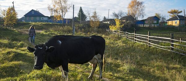 la région d'Omsk - Sputnik Afrique