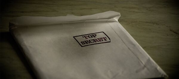 Image d'illustration - Sputnik Afrique