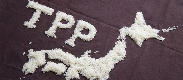 TPP - Sputnik Afrique