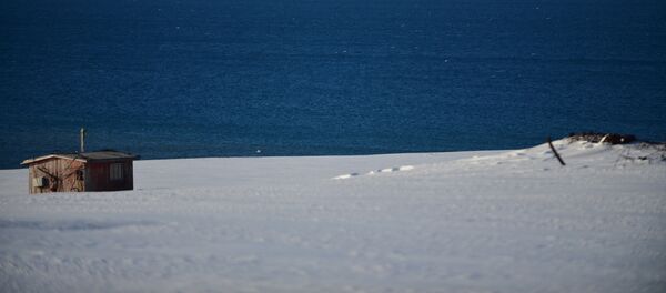 Au bord de l'océan glacial arctique - Sputnik Afrique