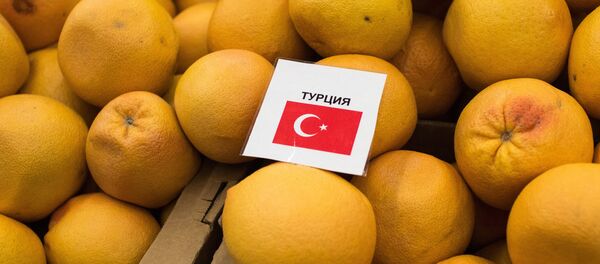 sanctions introduites par Moscou contre Ankara - Sputnik Afrique