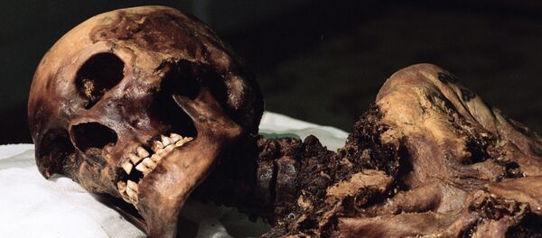 Une momie (image d'illustration) - Sputnik Afrique