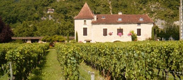 A Cahors chateau and vineyard - Sputnik Afrique