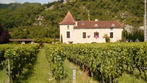 A Cahors chateau and vineyard - Sputnik Afrique