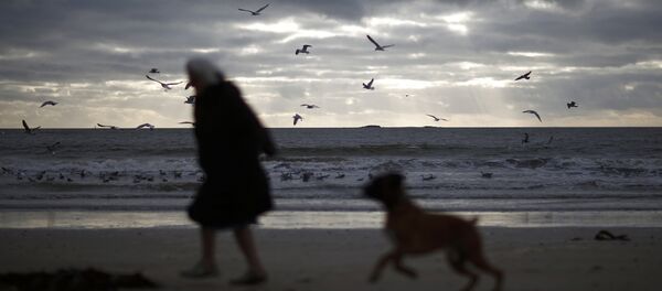 Plage française - Sputnik Afrique