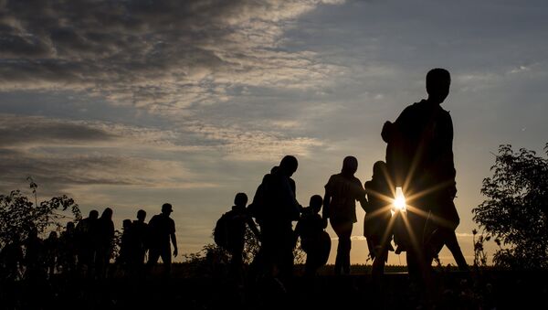 Les migrants afghans en Allemagne quittent le pays et rentrent chez eux - Sputnik Afrique