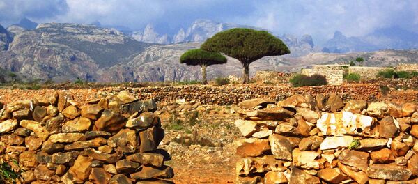 l'île de Socotra - Sputnik Afrique