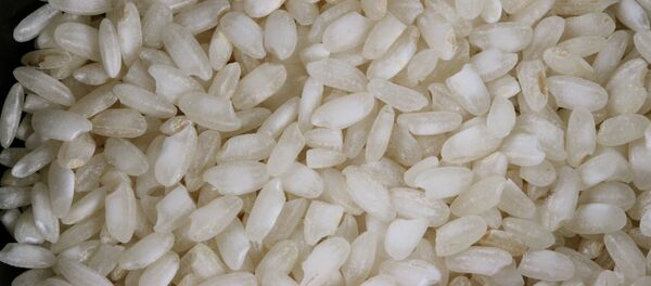 Рис - Sputnik Afrique