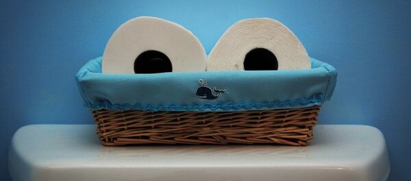 Papier toilette - Sputnik Afrique