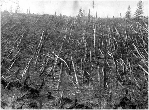 Le dernier jour de juin 1908, dans la forêt profonde du gouvernement du Ienisseï (actuel territoire de Krasnoïarsk), s'est produit l'événement de la Toungouska Le dernier jour de juin 1908, dans la forêt profonde du gouvernement du Ienisseï (actuel territoire de Krasnoïarsk), s'est produit l'événement de la Toungouska - Sputnik Afrique