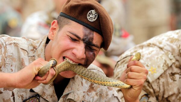 Ливанский десантник ест живую змею во время выставки безопасности SMES 2015 в Бейруте - Sputnik Afrique