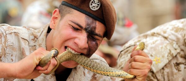 Ливанский десантник ест живую змею во время выставки безопасности SMES 2015 в Бейруте - Sputnik Afrique