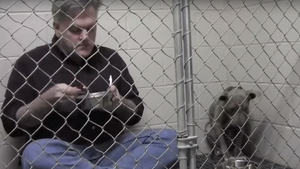 Un vétérinaire mange dans une cage pour sauver une chienne - Sputnik Afrique