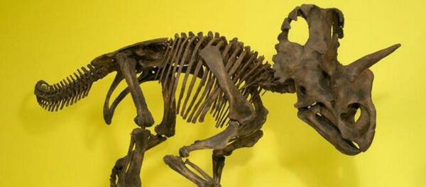 Un dinosaure - Sputnik Afrique