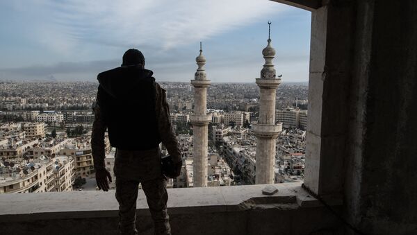 La ville syrienne d'Alep - Sputnik Afrique