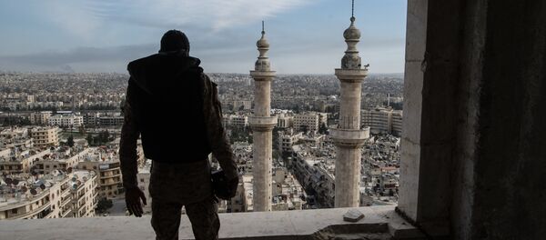 La ville syrienne d'Alep - Sputnik Afrique