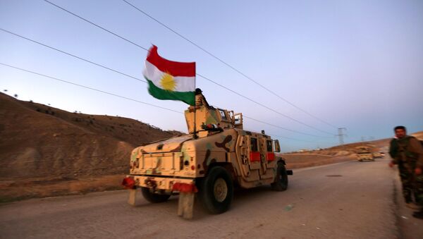 Les Kurdes libèrent une Suédoise captive de Daech en Irak - Sputnik Afrique