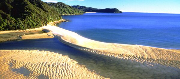 Awaroa Estuary Abel Tasman National Park Nelson - Sputnik Afrique