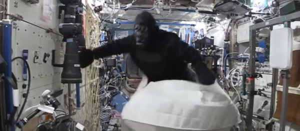 Scott Kelly déguisé en gorille - Sputnik Afrique