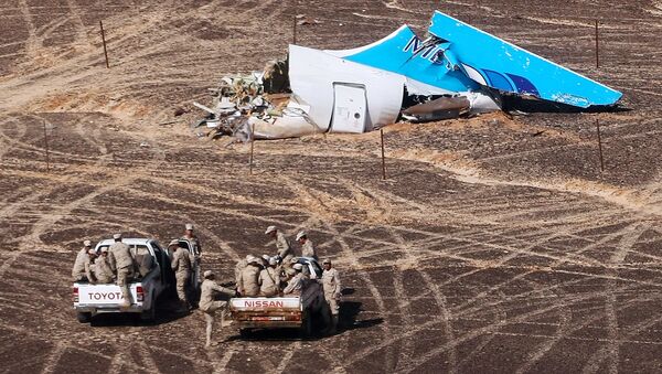 Les débris de l'A321 russe - Sputnik Afrique