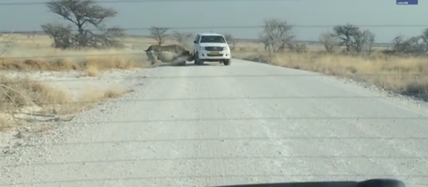 Un rhinocéros attaque des touristes - Sputnik Afrique