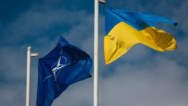 Drapeau national ukrainien et le drapeau d `OTAN - Sputnik Afrique