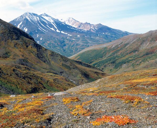 Les volcans sont la principale curiosité du Kamtchatka, dont la faune et la flore sont très variées. Cette région compte trois réserves nationales, cinq parcs naturels, huit réserves d'importance fédérale, 23 réserves d'importance locale et 105 monuments de la nature. Les volcans du Kamtchatka sont inscrits sur la liste du patrimoine mondial de l'UNESCO. - Sputnik Afrique