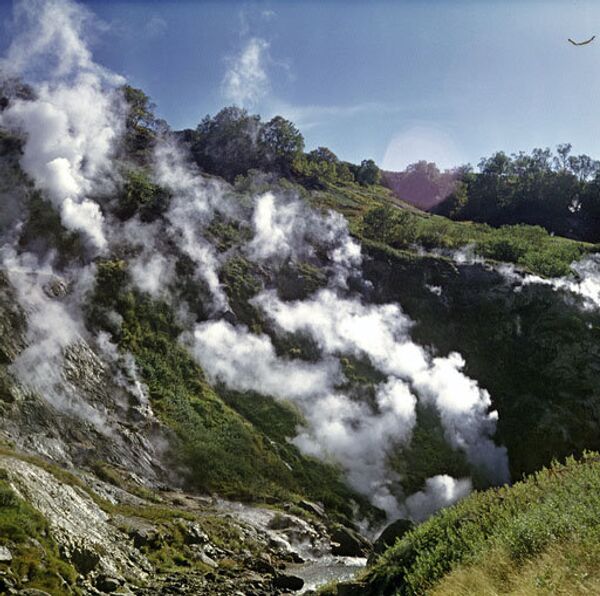 La Vallée des geysers, un champ de geysers unique en Eurasie et l'un des plus grands au monde, se trouve au Kamtchatka. - Sputnik Afrique