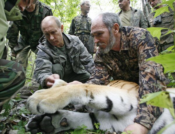 Le premier ministre russe a pris sous son contrôle personnel un programme de sauvegarde du tigre. - Sputnik Afrique